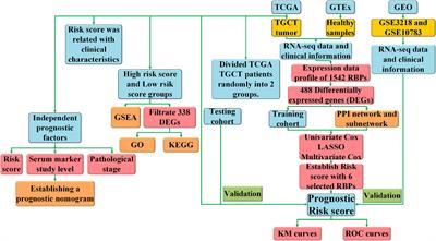 RNA-Binding Proteins Play an Important Role in the Prognosis of Patients With Testicular Germ Cell Tumor